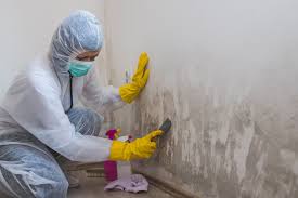 Biohazard Mold Removal in Northlakes, NC